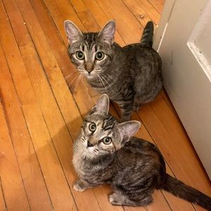 Meet your Posher, Kimberly